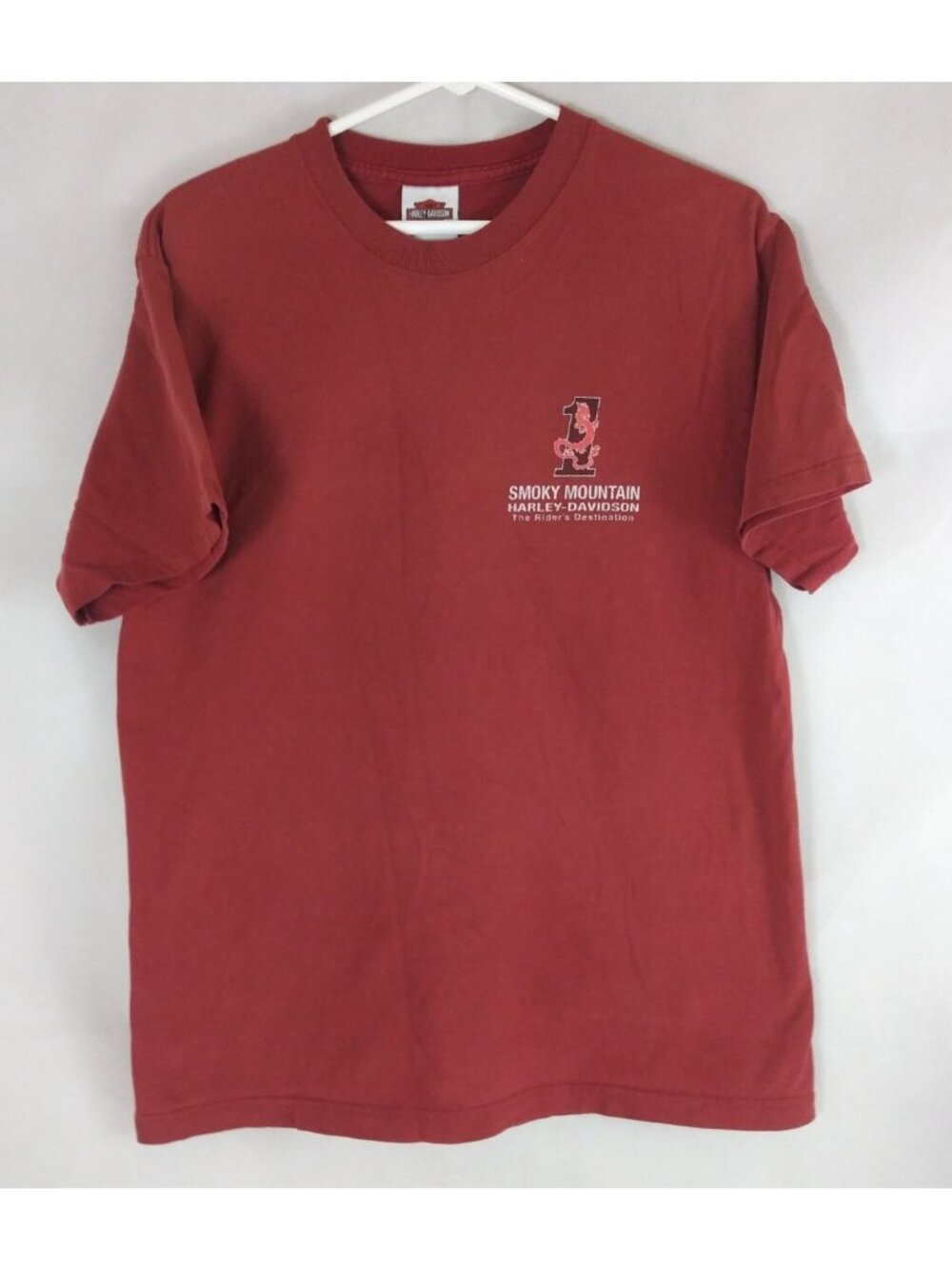 Hanes Beefy-T Men's Smokey Mountain Harley Davidson 100% Cotton T-Shirt Medium